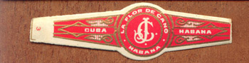 Copyright bands