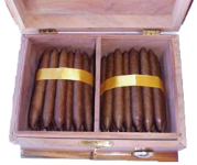 Partagas Salomones Espanola Humidor 帕特加斯雪茄 古中雪茄