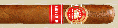 H. UPMANN MAGNUM 46 TUBO