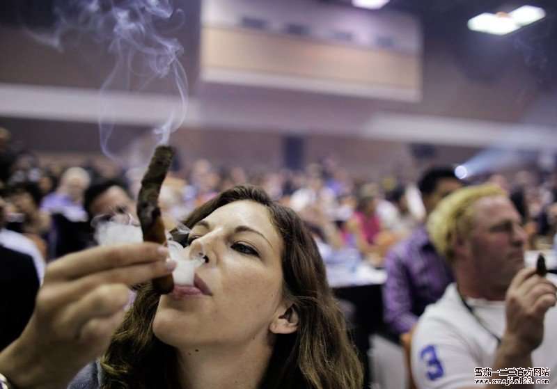 古巴2013哈伯纳斯雪茄节最长烟灰比赛