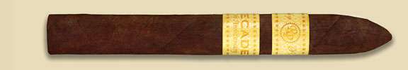 2008全球雪茄排名第15位 - 洛基帕特尔10周年鱼雷 Rocky Patel Decade Torpedo