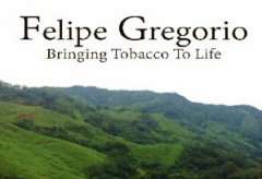 <b>菲利普.格雷戈里奥/FELIPE GREGORIO雪茄历年评分</b>