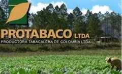 英美烟草收购哥伦比亚Protabaco-2011年5月