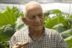 古巴雪茄大王罗瓦伊纳-种烟草的农人