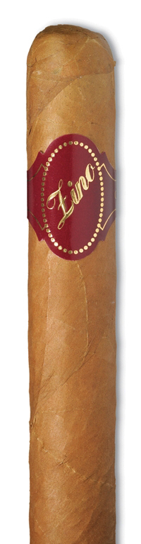 No. 6 Tubo
