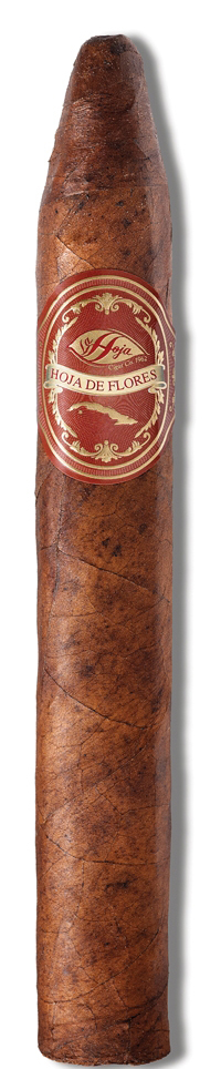 Torpedo