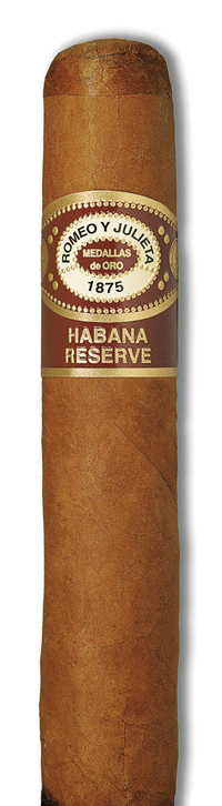 Robusto