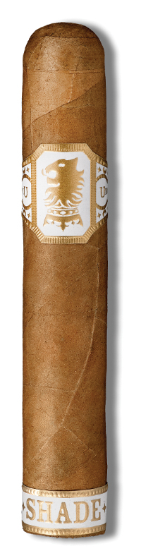 Robusto