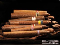 多米尼加雪茄2016近期现状