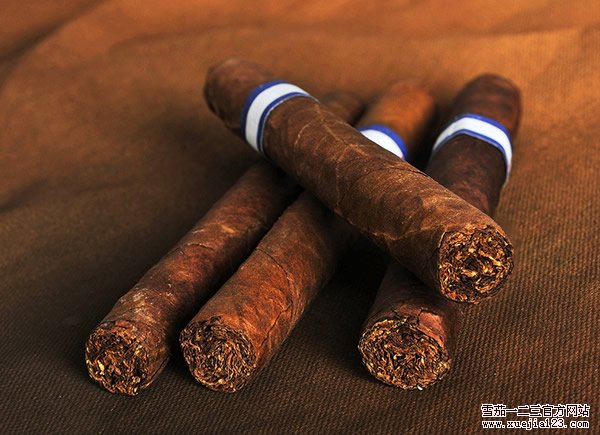 雪茄的滋味有哪些 怎么辨认古巴雪茄的滋味