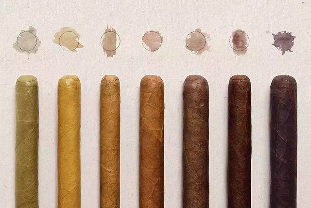 初二雪茄的基本颜色