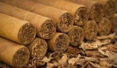 不同烟叶在雪茄内是怎么组合的？