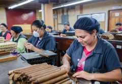 世界各地雪茄工厂都已复工，最长的关闭了四个月