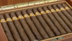 罕见的 1492 年古巴雪茄盒拍卖价 31,000 美元