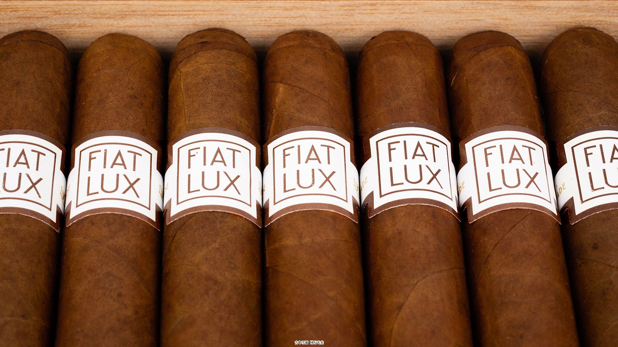 Luciano 的 Fiat Lux 今年 7 月发货