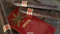 JC Newman 雪茄发出 2022 年第一批 Yagua