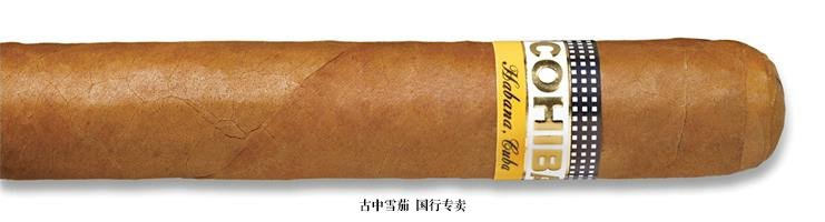 Cohiba Robusto