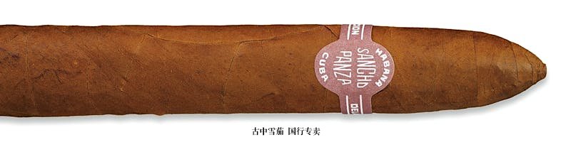 Sancho Panza Belicoso