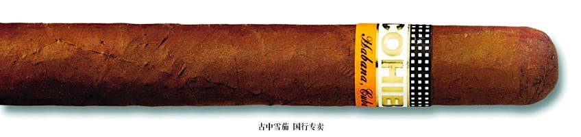 Cohiba Siglo IV 