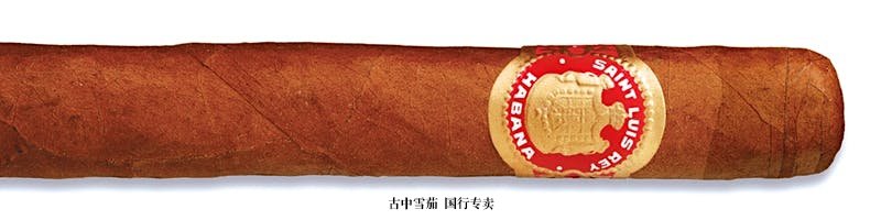 Saint Luis Rey Regios