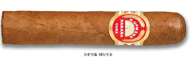 H. Upmann Majestic