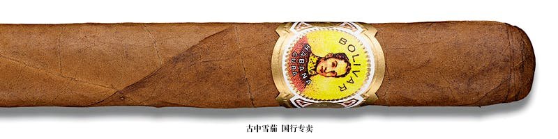 Bolivar Corona Gigante