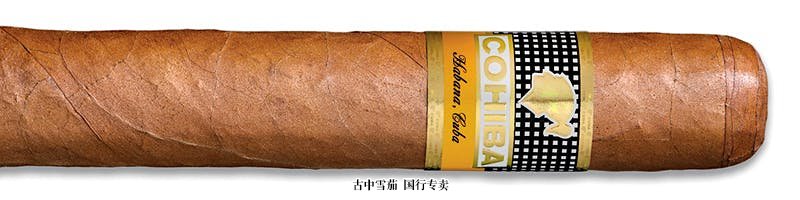 Cohiba Robusto