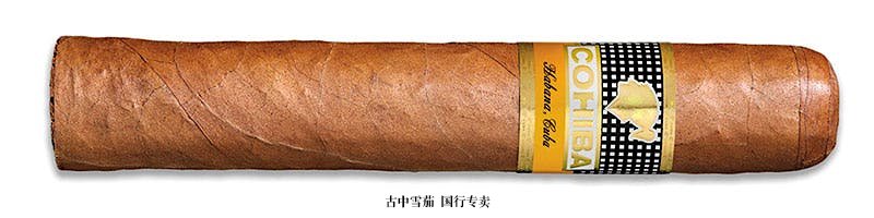 Cohiba Robusto 