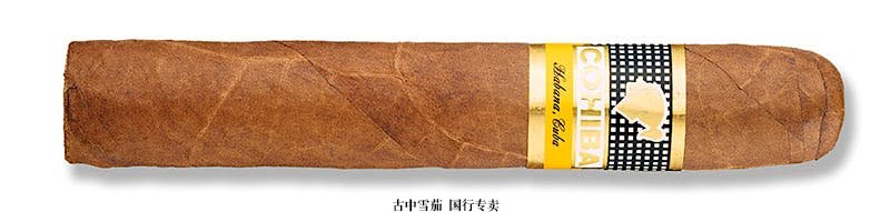 Cohiba Robusto