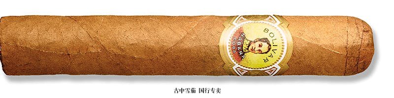 Bolivar Royal Corona (Tubo)