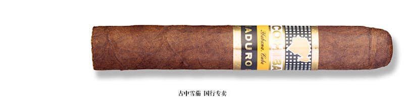 Cohiba Maduro 5 Secretos