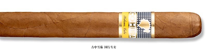 Cohiba Siglo IV