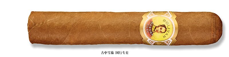 Bolivar Royal Corona (Tubo)