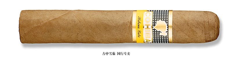 Cohiba Robusto