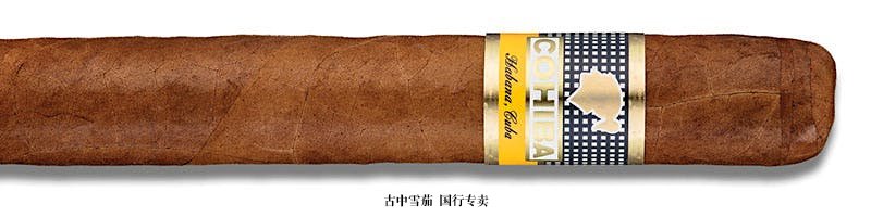 Cohiba Siglo VI