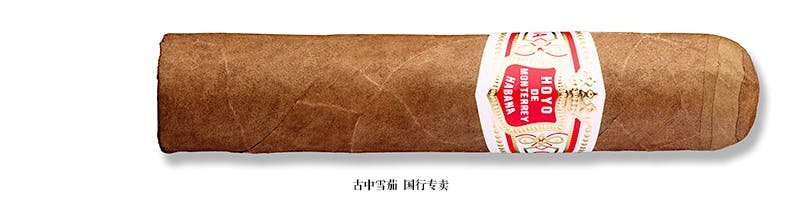 Hoyo de Monterrey Petit Robusto