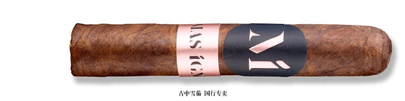 Mas Igneus Short Robusto