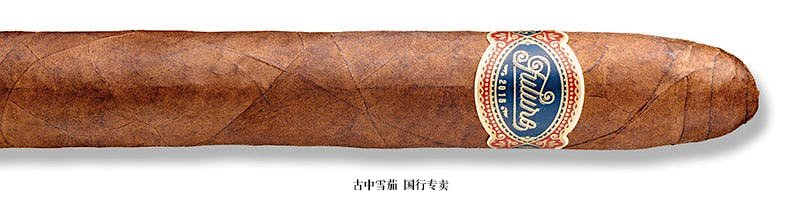 Warped Futuro Selección 109