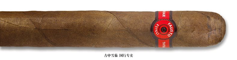 Fausto By Tatuaje FT114