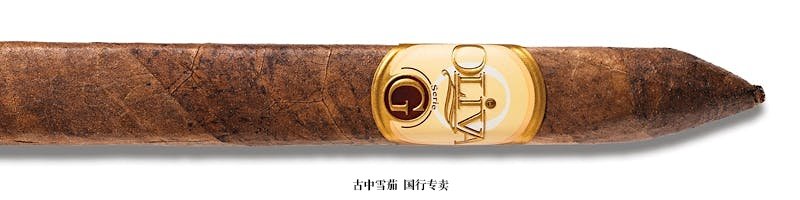 Oliva Serie G Torpedo