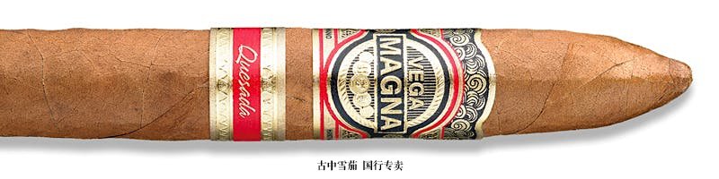 Vega Magna Belicoso