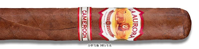 La Aurora 1903 Cameroon Robusto