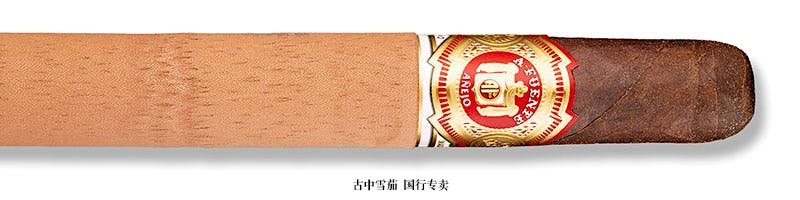 Arturo Fuente Añejo Reserva No. 49