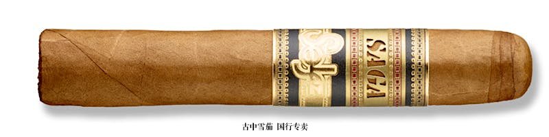 Saga Solaz Robusto