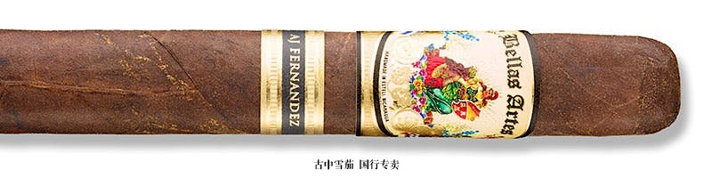 Bellas Artes Maduro Gordo