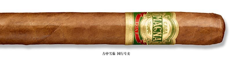 Casa Magna Liga F Toro