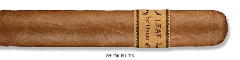 Leaf by Oscar Sumatra Sixty