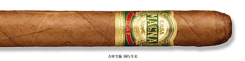 Casa Magna Liga F Churchill