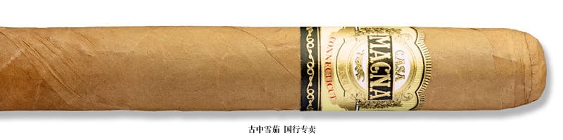 Casa Magna Connecticut Toro Gordo