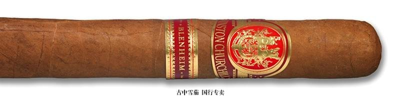 Winston Churchill Blenheim